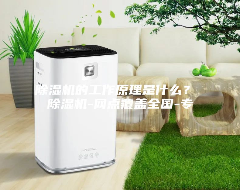 除濕機的工作原理是什么？ 除濕機-網點覆蓋全國-專