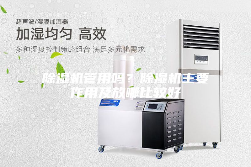 除濕機管用嗎？除濕機主要作用及放哪比較好