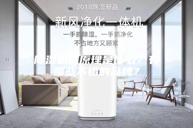除濕機的原理是什么？有哪些不錯的品牌？