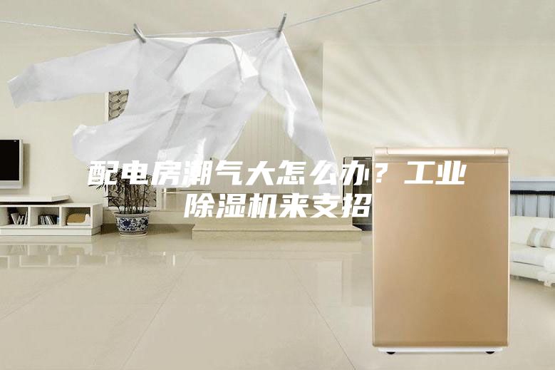 配電房潮氣大怎么辦？工業除濕機來支招