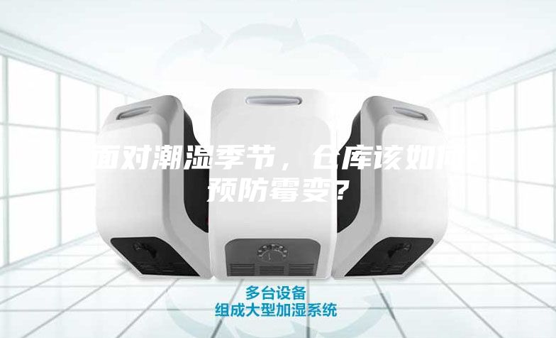 面對潮濕季節，倉庫該如何預防霉變？