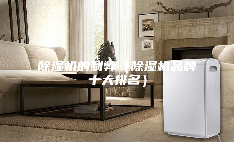 除濕機的利弊（除濕機品牌十大排名）