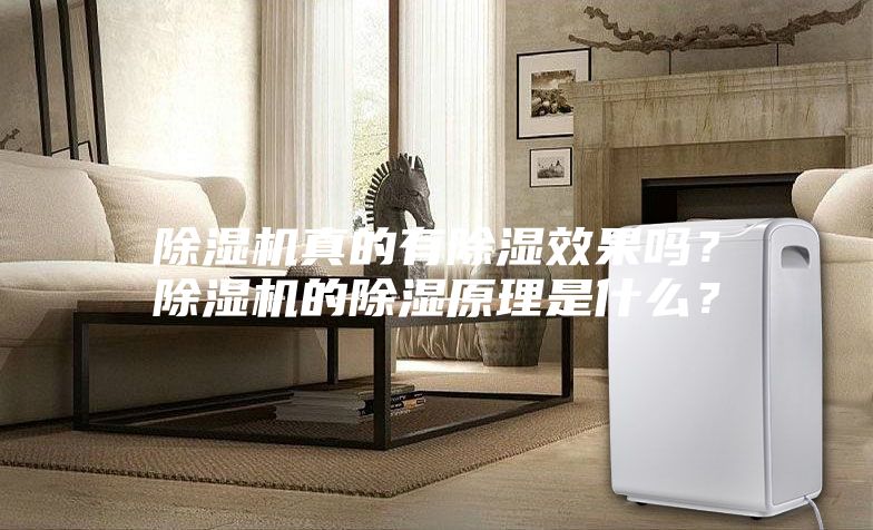 除濕機真的有除濕效果嗎？除濕機的除濕原理是什么？
