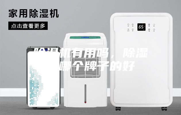 除濕機有用嗎，除濕機哪個牌子的好