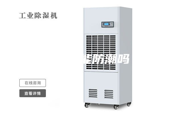 除濕機能防潮嗎
