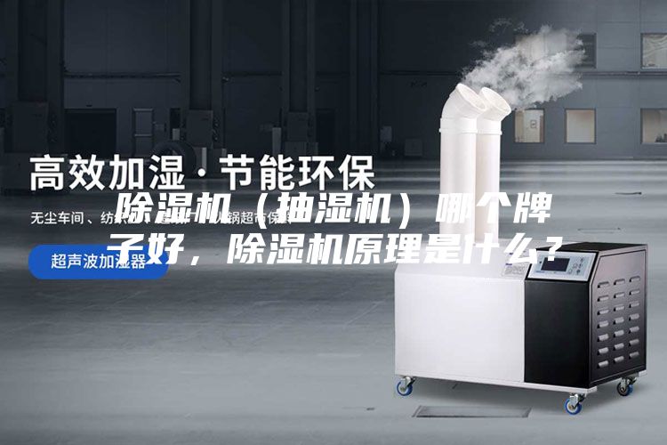 除濕機（抽濕機）哪個牌子好，除濕機原理是什么？