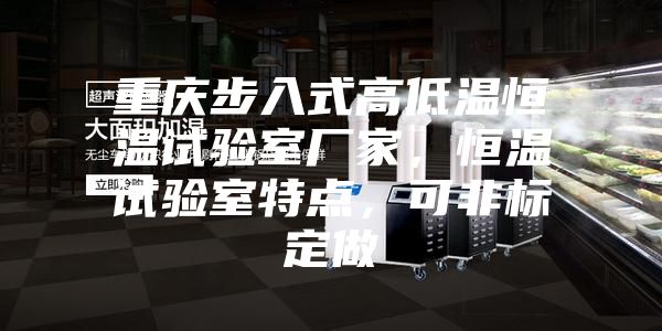 重慶步入式高低溫恒溫試驗室廠家，恒溫試驗室特點，可非標定做