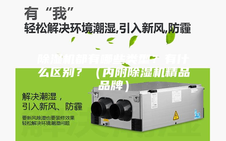 除濕機都有哪些類型？有什么區別？（內附除濕機精品品牌）