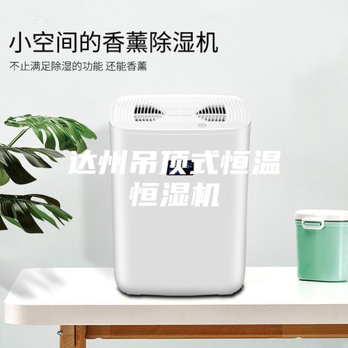 達州吊頂式恒溫恒濕機