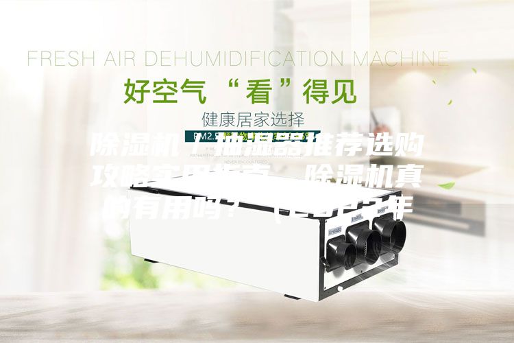 除濕機／抽濕器推薦選購攻略實用指南，除濕機真的有用嗎？（2022年