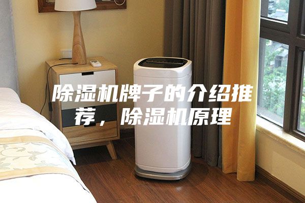除濕機牌子的介紹推薦，除濕機原理