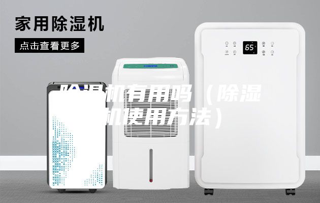 除濕機有用嗎（除濕機使用方法）