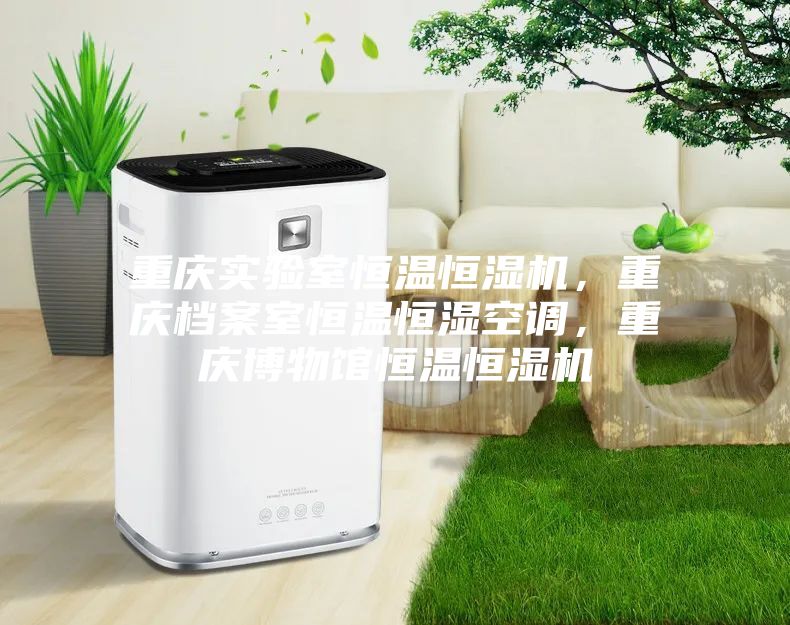 重慶實驗室恒溫恒濕機，重慶檔案室恒溫恒濕空調，重慶博物館恒溫恒濕機