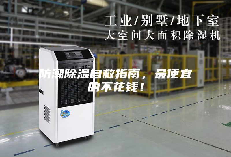防潮除濕自救指南，最便宜的不花錢！