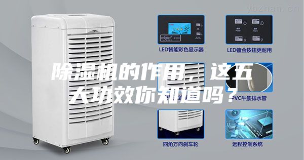除濕機的作用，這五大功效你知道嗎？