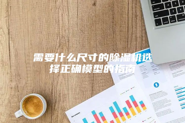 需要什么尺寸的除濕機選擇正確模型的指南