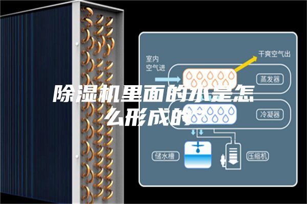除濕機里面的水是怎么形成的？
