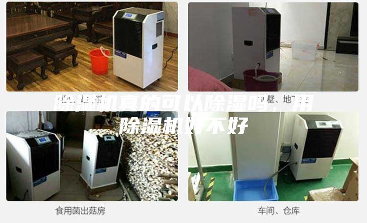 除濕機真的可以除濕嗎，用除濕機好不好