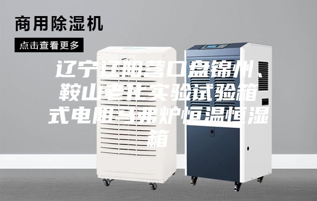 遼寧遼陽營口盤錦州、鞍山老化實驗試驗箱式電阻馬弗爐恒溫恒濕箱