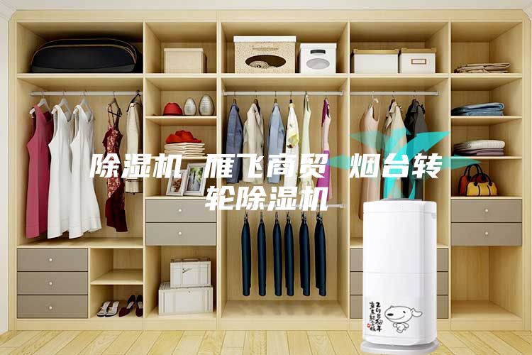 除濕機 雁飛商貿 煙臺轉輪除濕機