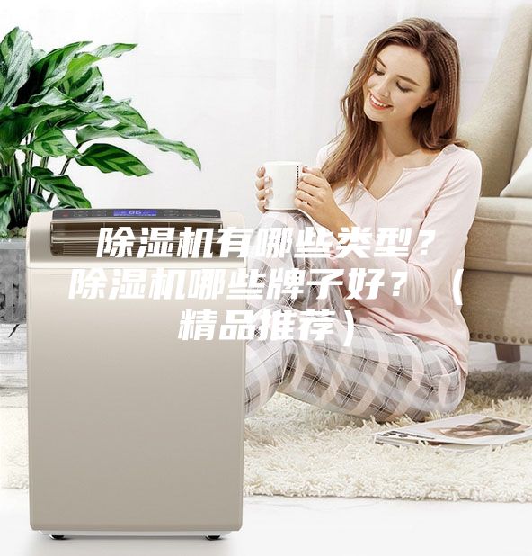 除濕機有哪些類型？除濕機哪些牌子好？（精品推薦）