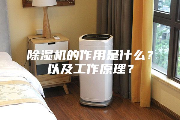 除濕機的作用是什么？以及工作原理？