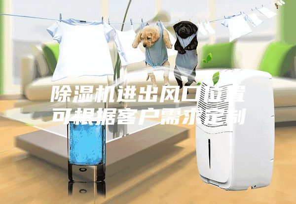 除濕機進出風口位置可根據客戶需求定制