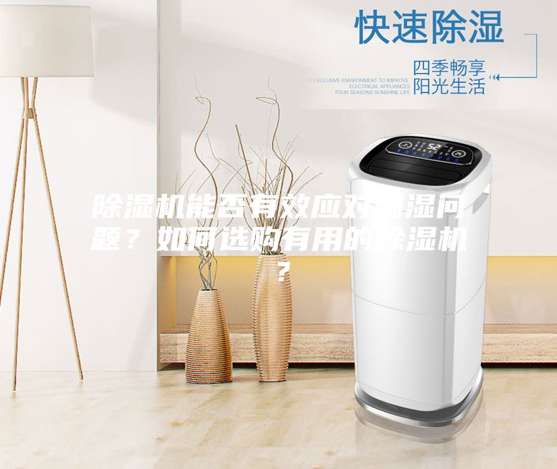 除濕機能否有效應對潮濕問題？如何選購有用的除濕機？