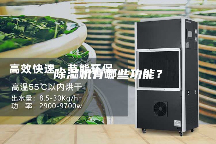 除濕機有哪些功能？