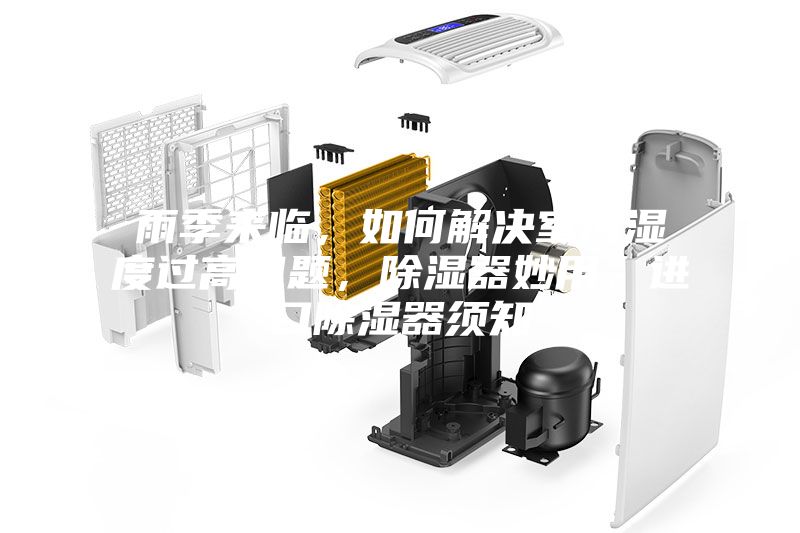 雨季來臨，如何解決室內濕度過高問題，除濕器妙用，進口除濕器須知