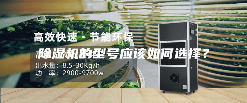 除濕機的型號應該如何選擇？