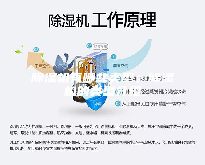 除濕機有哪些類型，除濕機的類型介紹