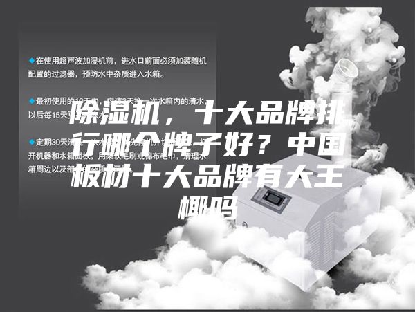 除濕機，十大品牌排行哪個牌子好？中國板材十大品牌有大王椰嗎