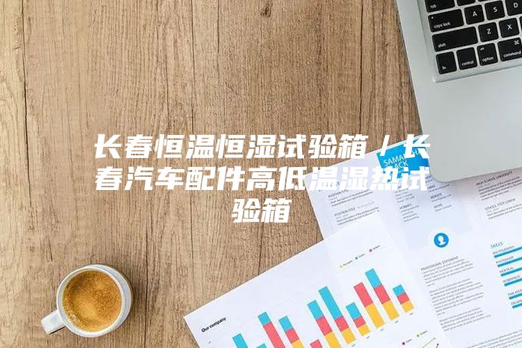 長春恒溫恒濕試驗箱／長春汽車配件高低溫濕熱試驗箱