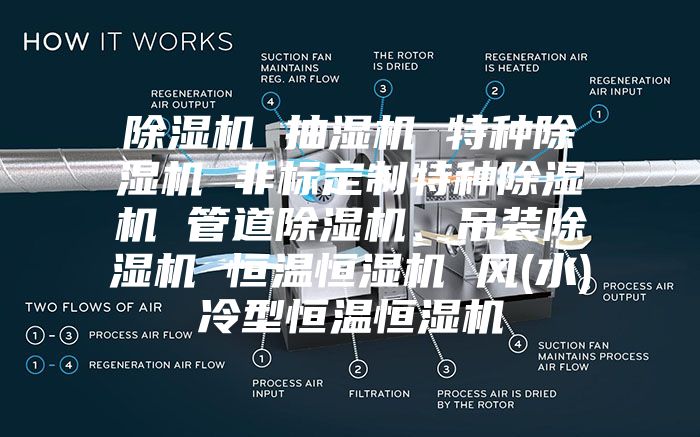 除濕機 抽濕機 特種除濕機 非標定制特種除濕機 管道除濕機、吊裝除濕機 恒溫恒濕機 風(水)冷型恒溫恒濕機