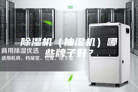 除濕機（抽濕機）哪些牌子好？