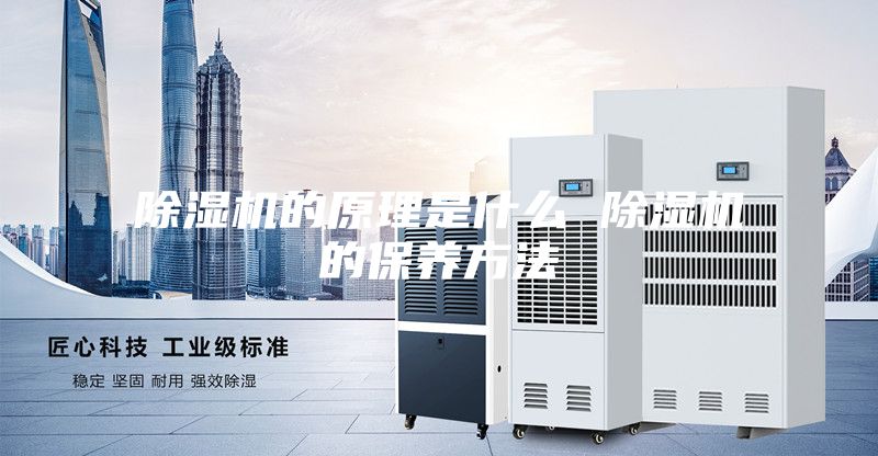 除濕機的原理是什么 除濕機的保養方法