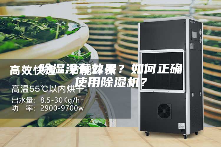 除濕沒有效果？如何正確使用除濕機？
