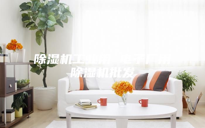 除濕機工業用 電子廠用除濕機批發