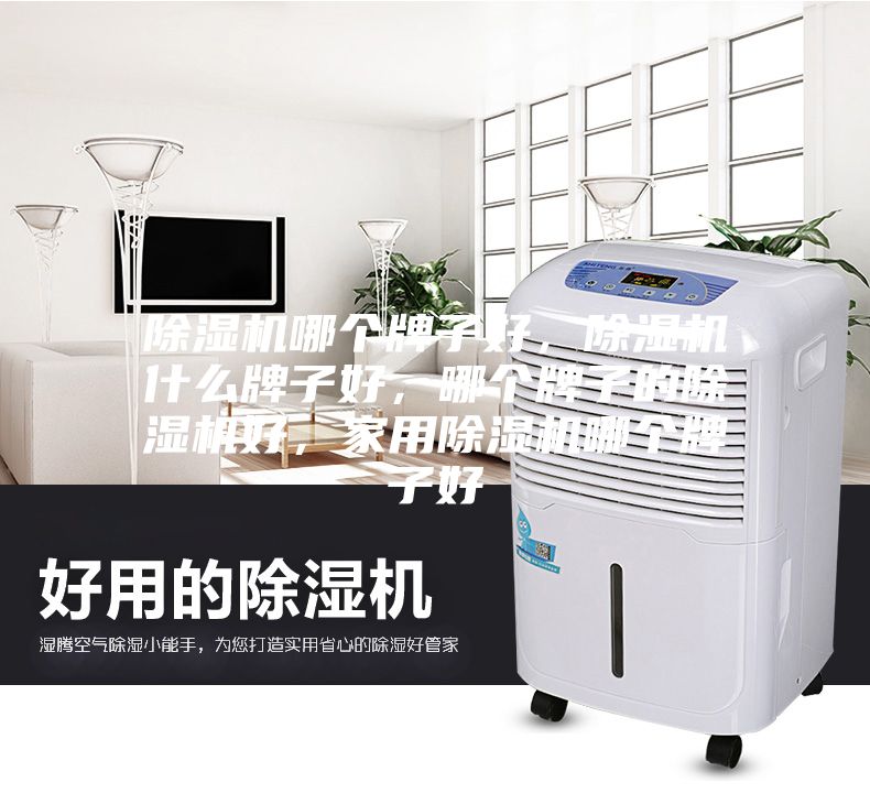 除濕機哪個牌子好，除濕機什么牌子好，哪個牌子的除濕機好，家用除濕機哪個牌子好