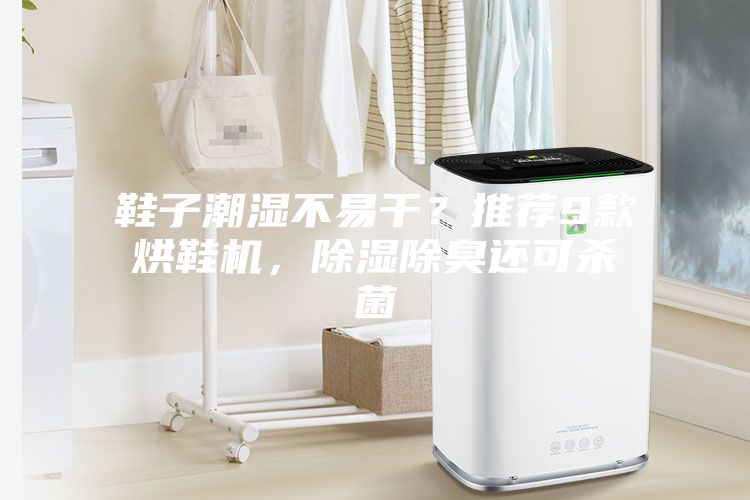 鞋子潮濕不易干？推薦9款烘鞋機，除濕除臭還可殺菌
