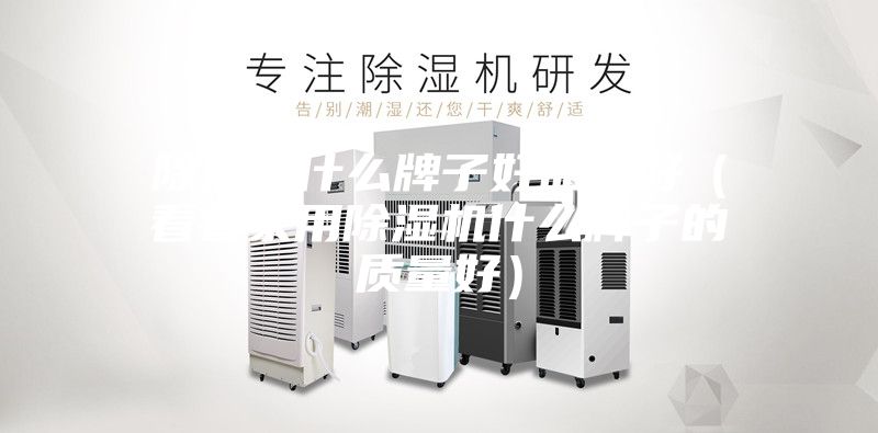 除濕機什么牌子好品質好（看看家用除濕機什么牌子的質量好）