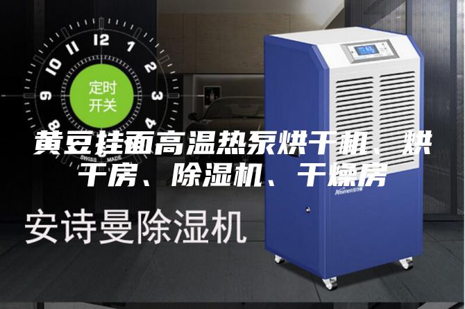 黃豆掛面高溫熱泵烘干機、烘干房、除濕機、干燥房