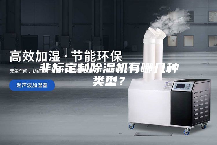 非標定制除濕機有哪幾種類型？