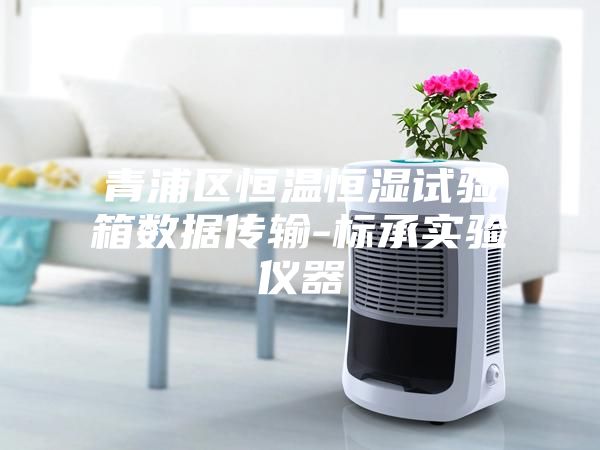 青浦區恒溫恒濕試驗箱數據傳輸-標承實驗儀器