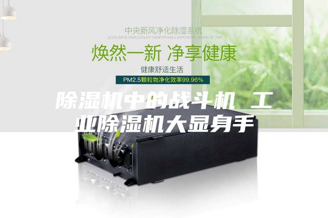 除濕機中的戰斗機 工業除濕機大顯身手