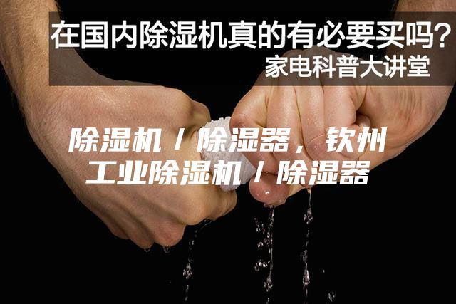 除濕機／除濕器，欽州工業除濕機／除濕器