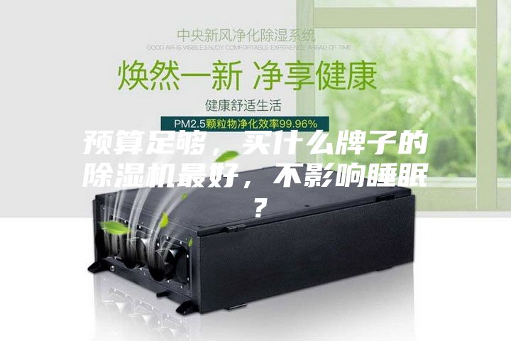 預算足夠，買什么牌子的除濕機最好，不影響睡眠？