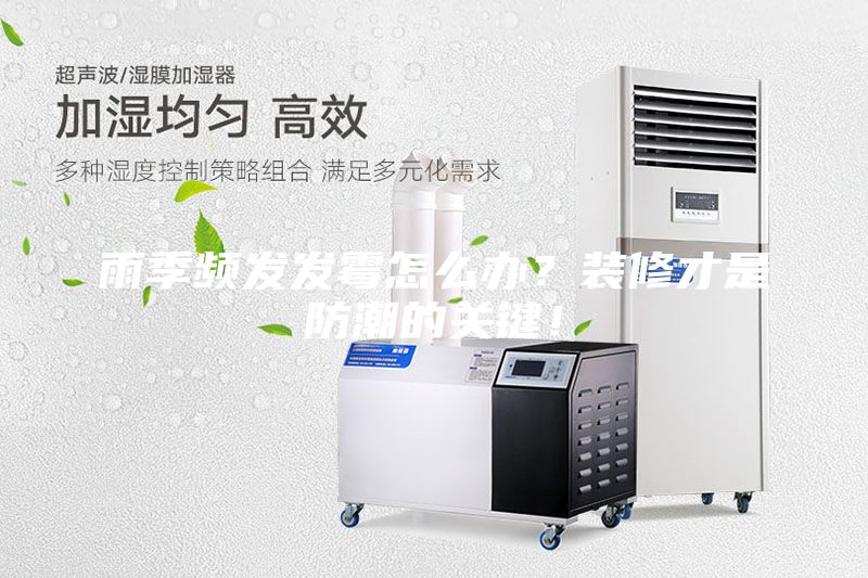 雨季頻發發霉怎么辦？裝修才是防潮的關鍵！