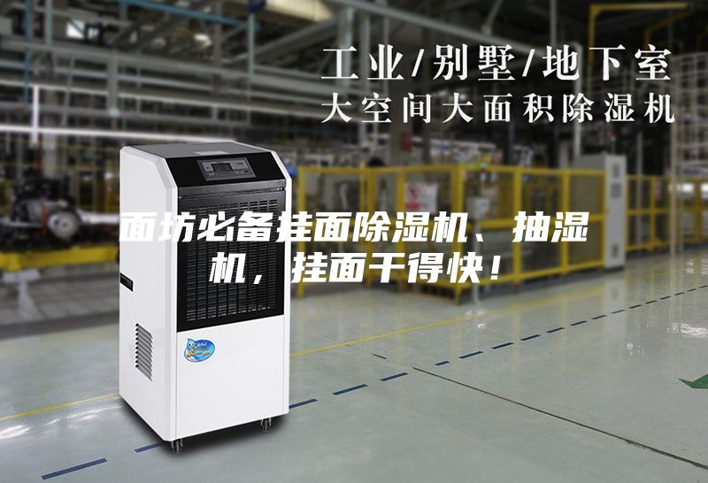 面坊必備掛面除濕機、抽濕機，掛面干得快！